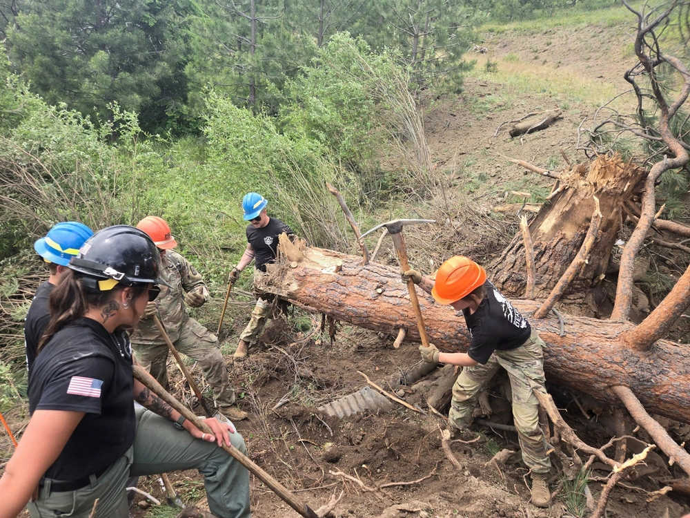 clearing downed trees with a pick axe