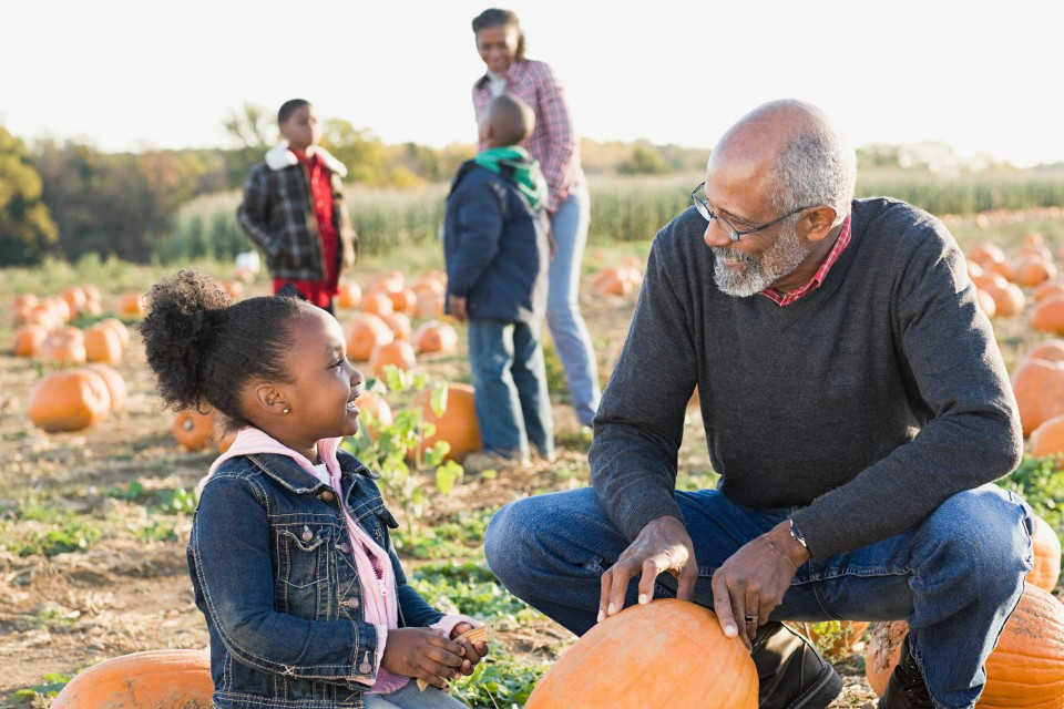 A family at a pumpkin patch picking out a pumpkin.